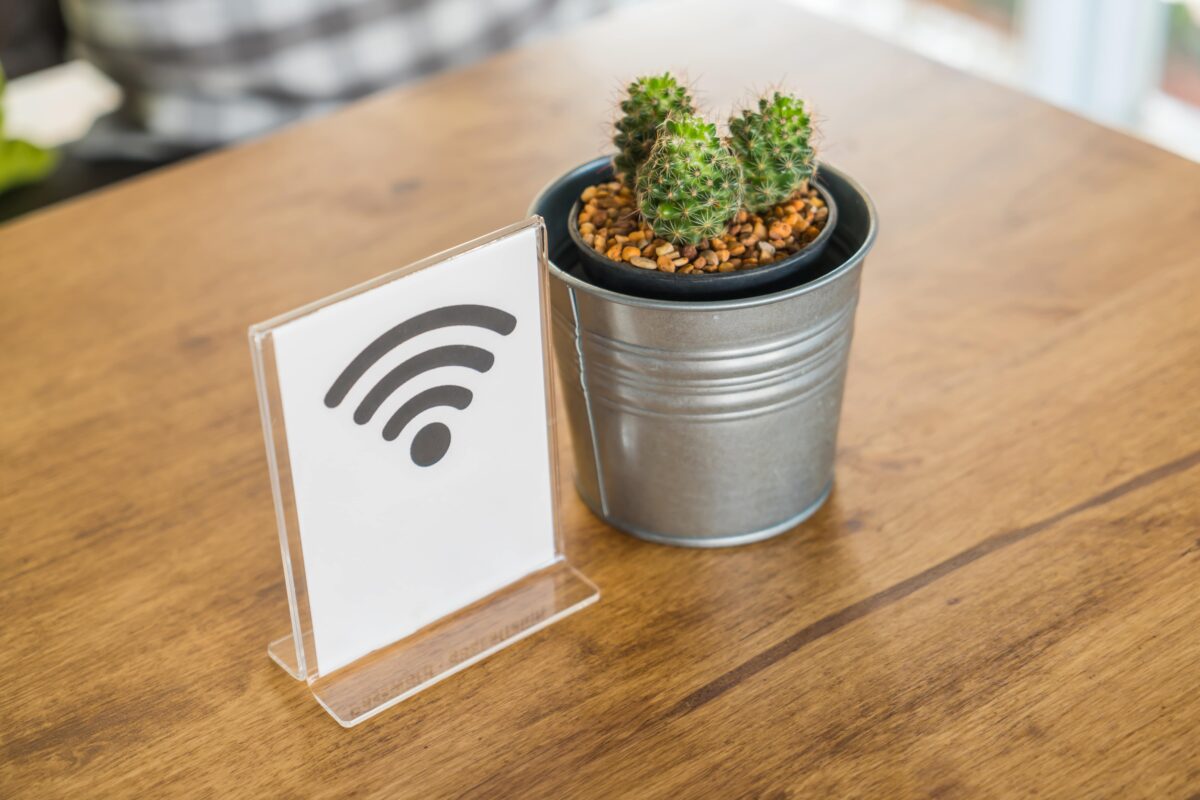 A bowl with a cactus and a precise WiFi signal